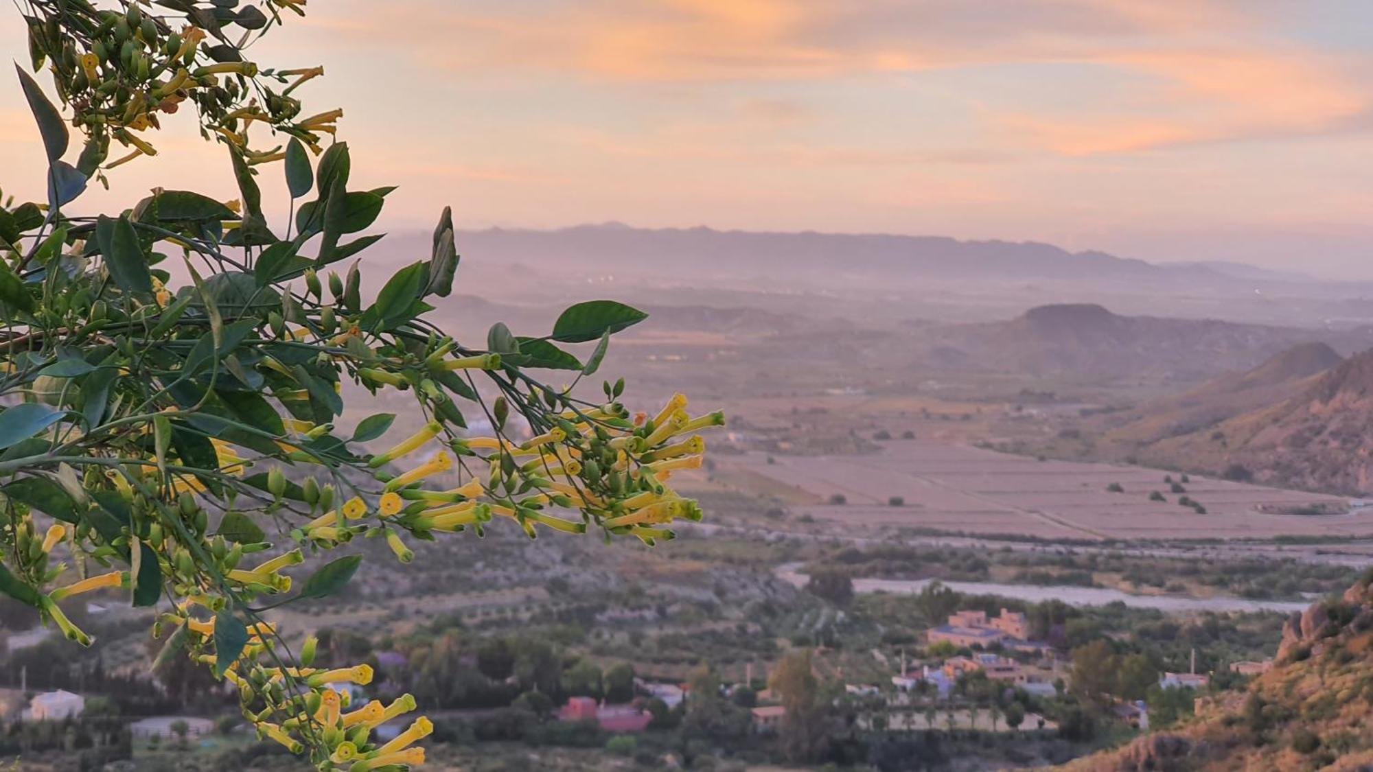 Вилла Casanova En Terreros Сан-Хуан-де-лос-Террерос Экстерьер фото